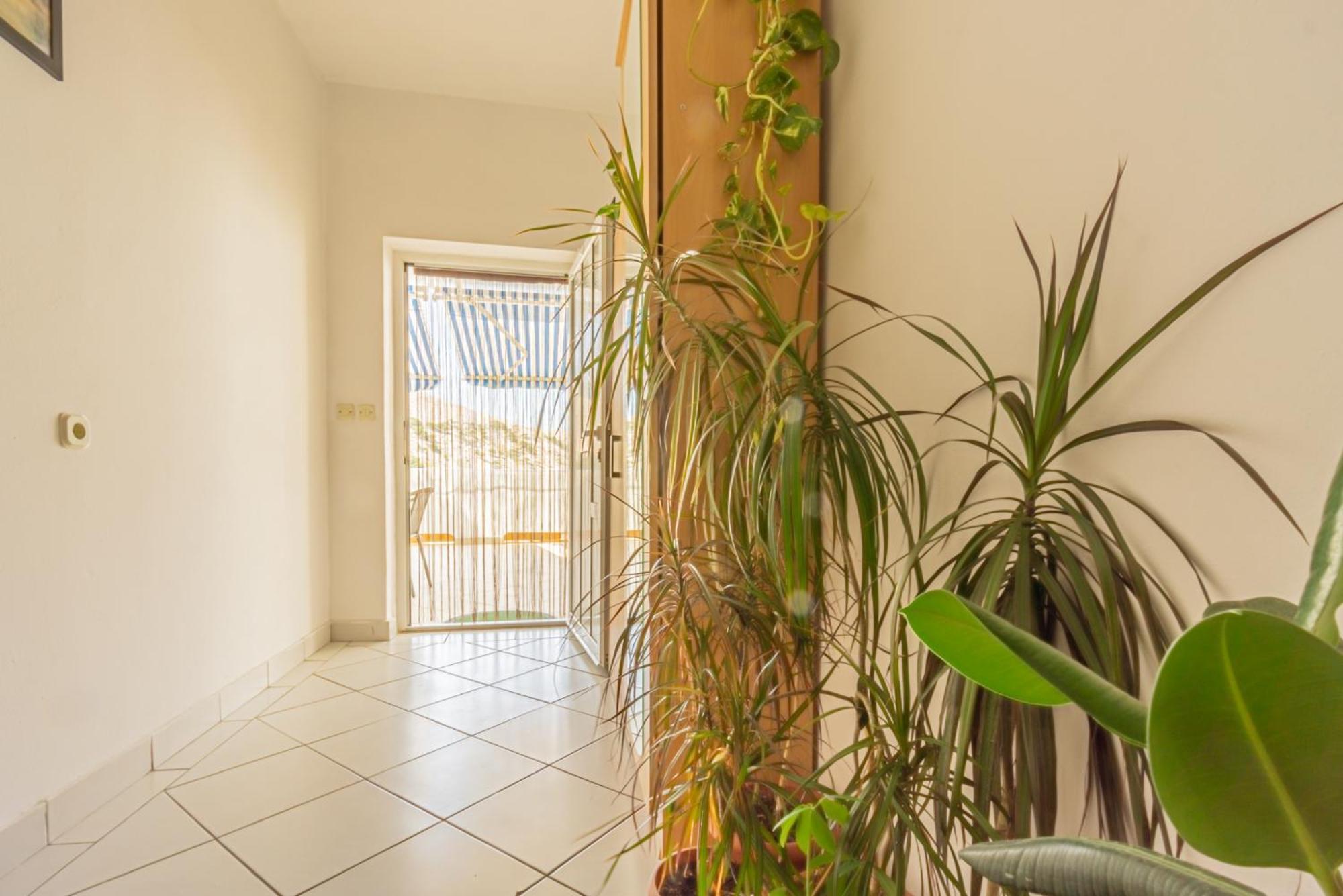 Apartment Magdalena With Mountain And Seaview